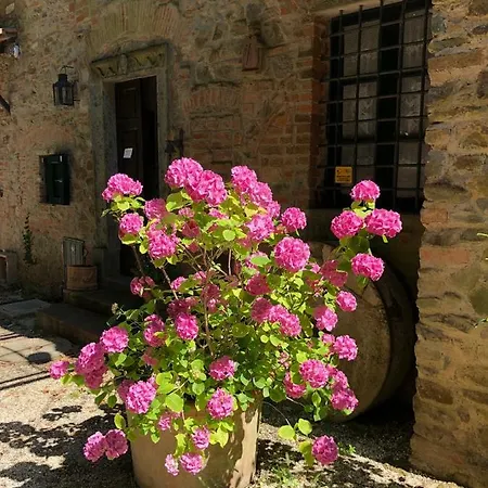 Apartament Mulino Rotone Castagneto Carducci